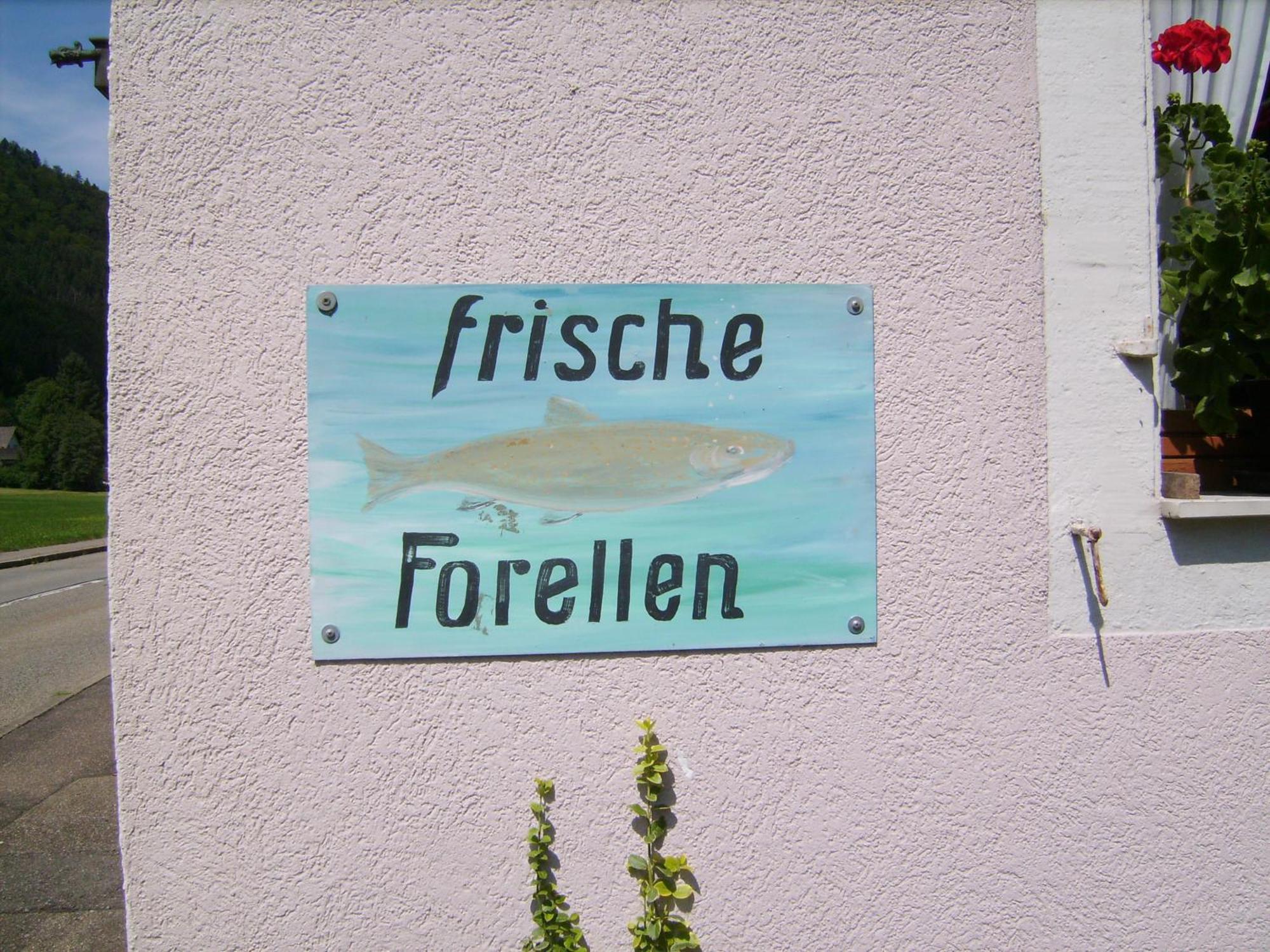 Gasthaus Zur Erle Simonswald Exterior foto